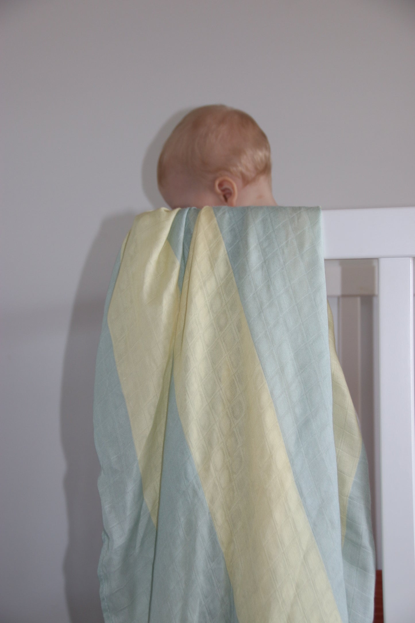 Flossy Swaddle Lemon Fizz