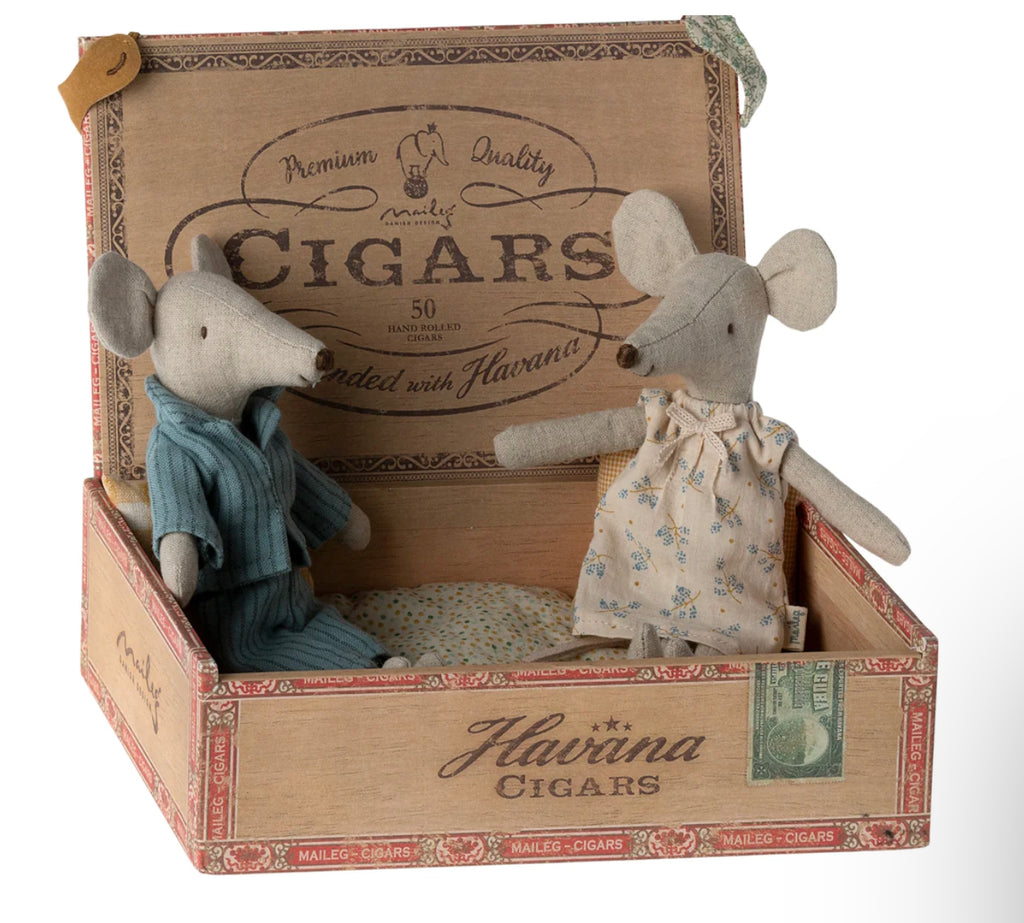 Mum and Dad mice in box