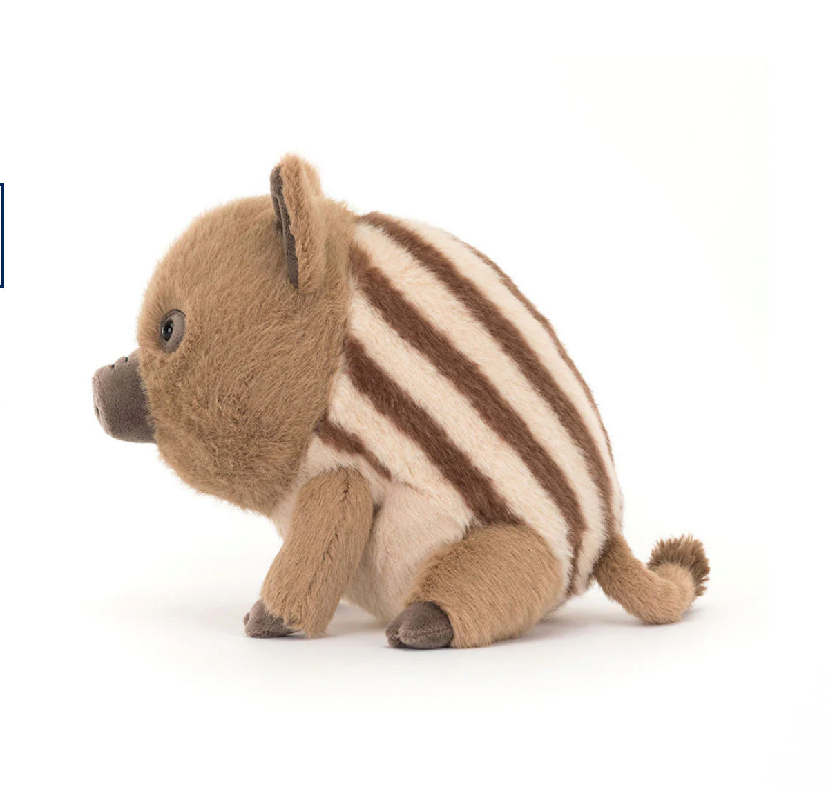 Swinley Boar