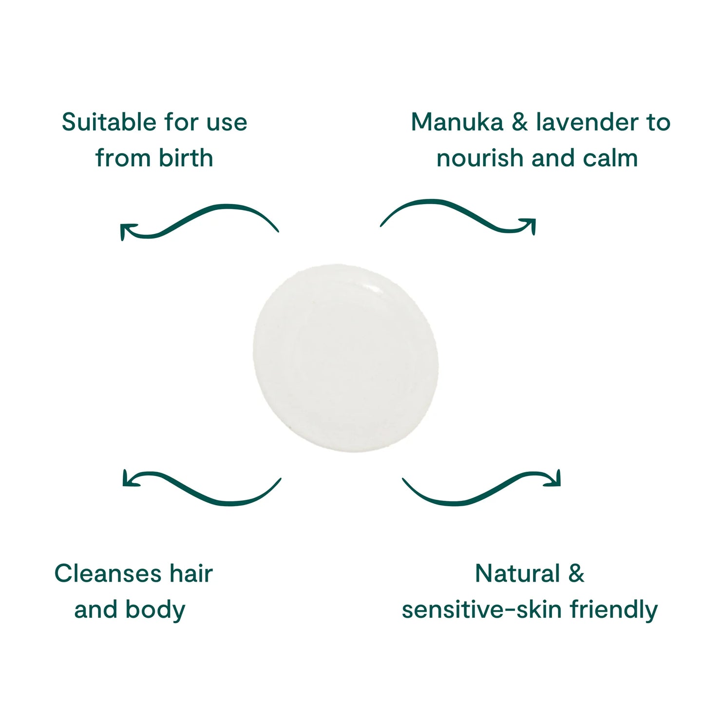 Beetl The Everything Wash