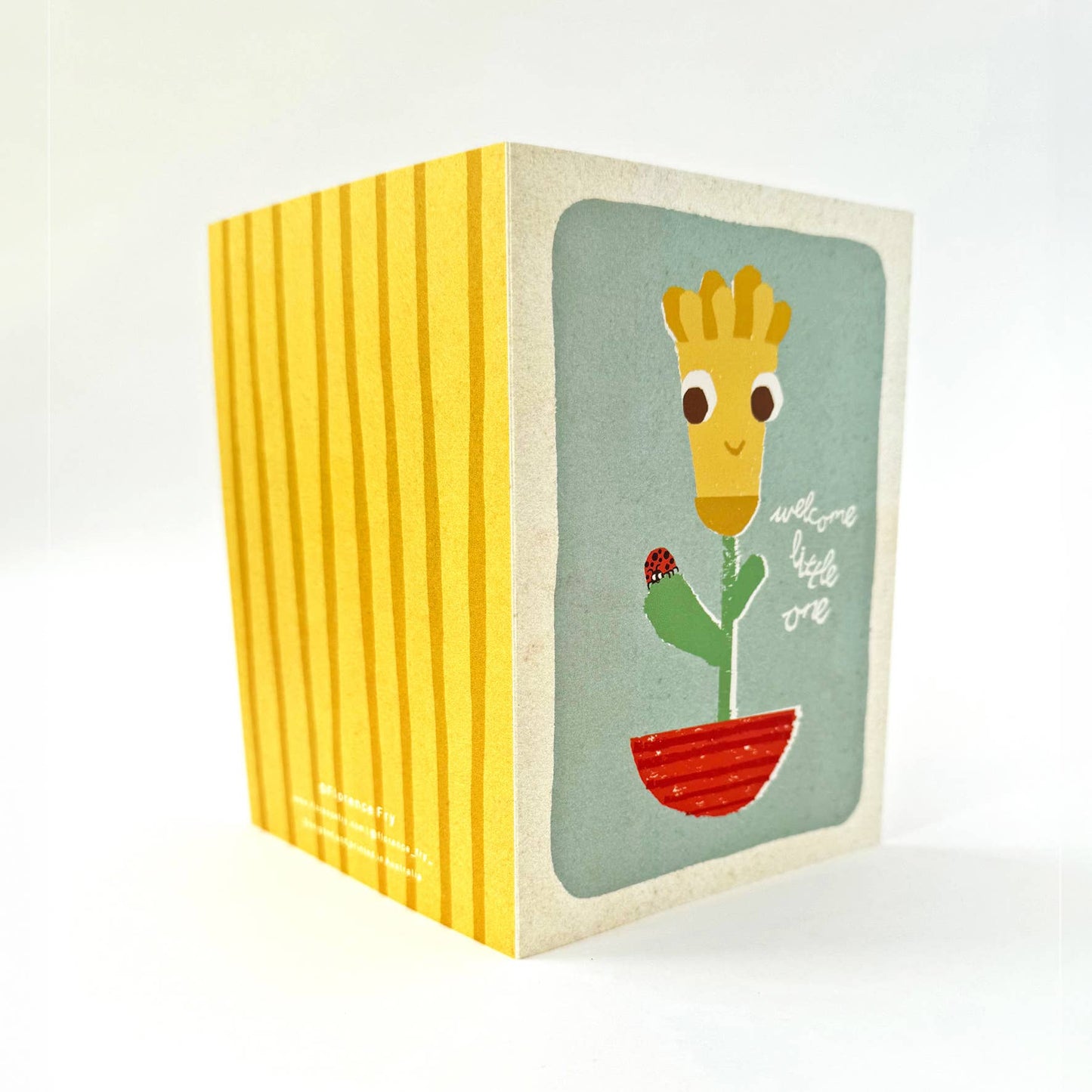 Daffodil Welcome Little One