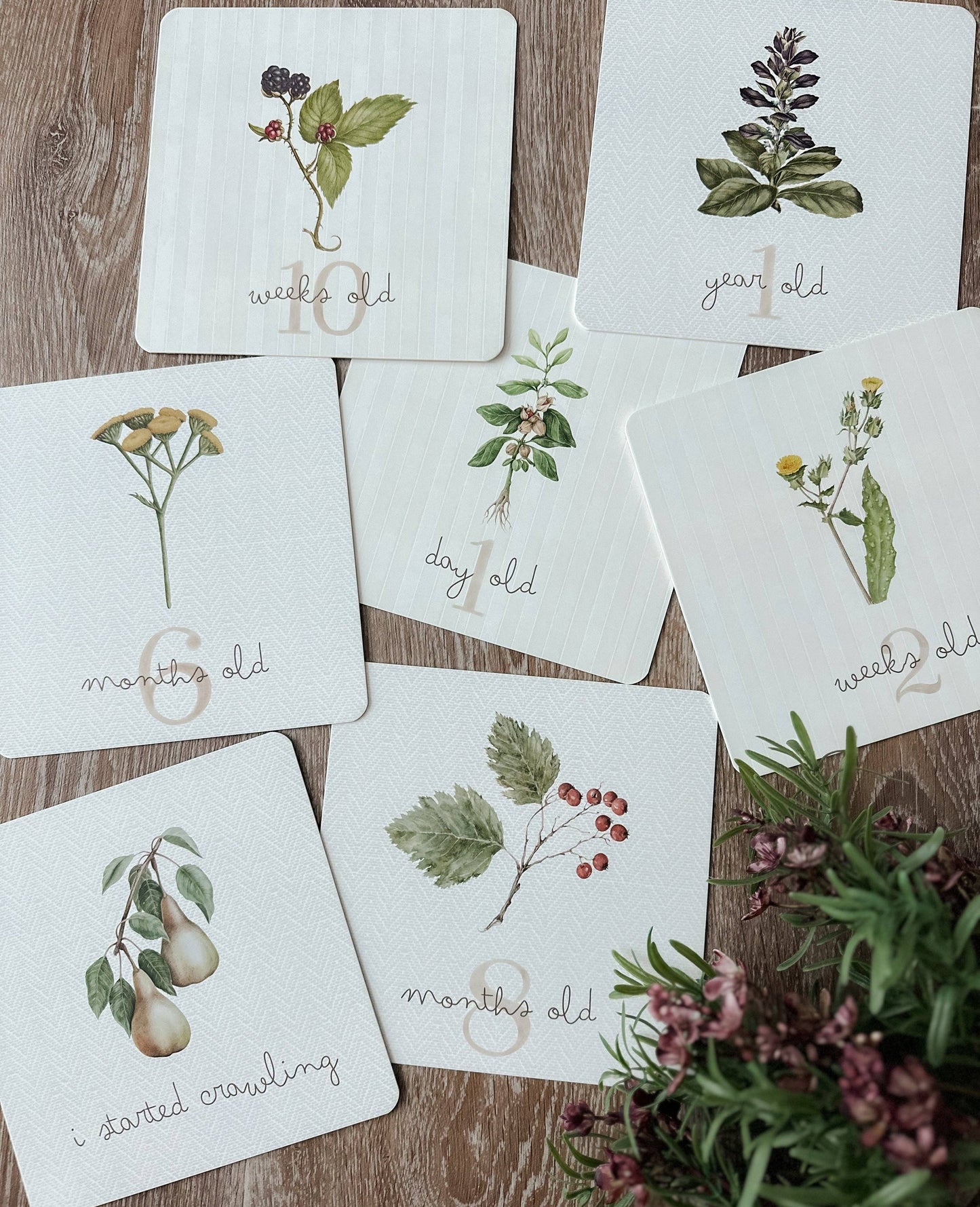 Pop Ya Tot Botanical Milestone Cards