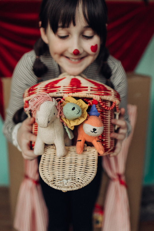 Circus Basket