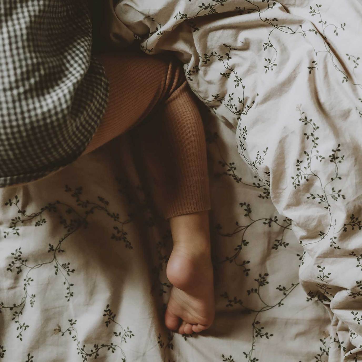 Botany fitted cot sheet