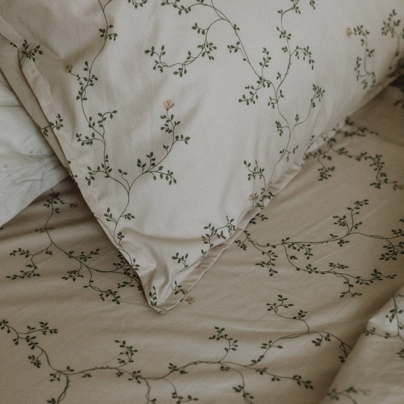 Botany fitted cot sheet