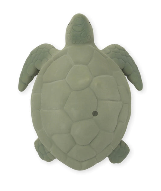 Turtle teether